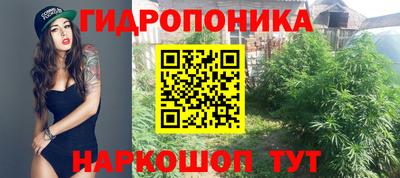спиды Канаш