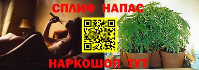 ALPHA PVP Камышлов