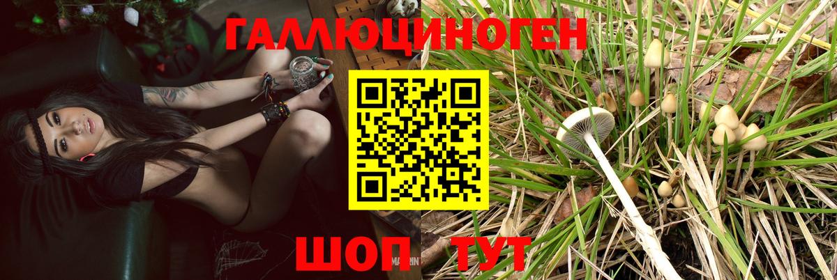 Галлюциногенные грибы Cubensis  Вход с VPN  Геленджик 