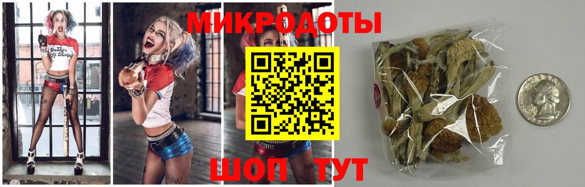 Галлюциногенные грибы ЛСД Геленджик